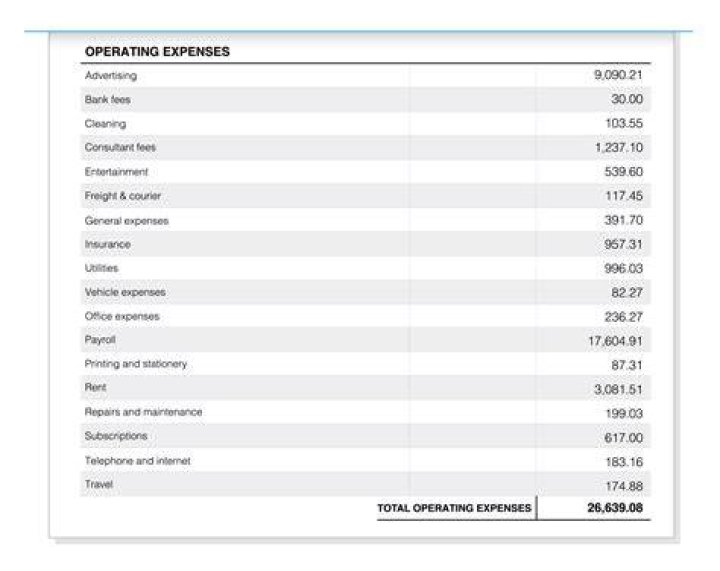 A Breakdown of His Income, Expenses, and Assets |