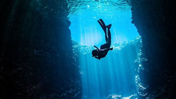 A Deep Dive Into Conservation And Discovery