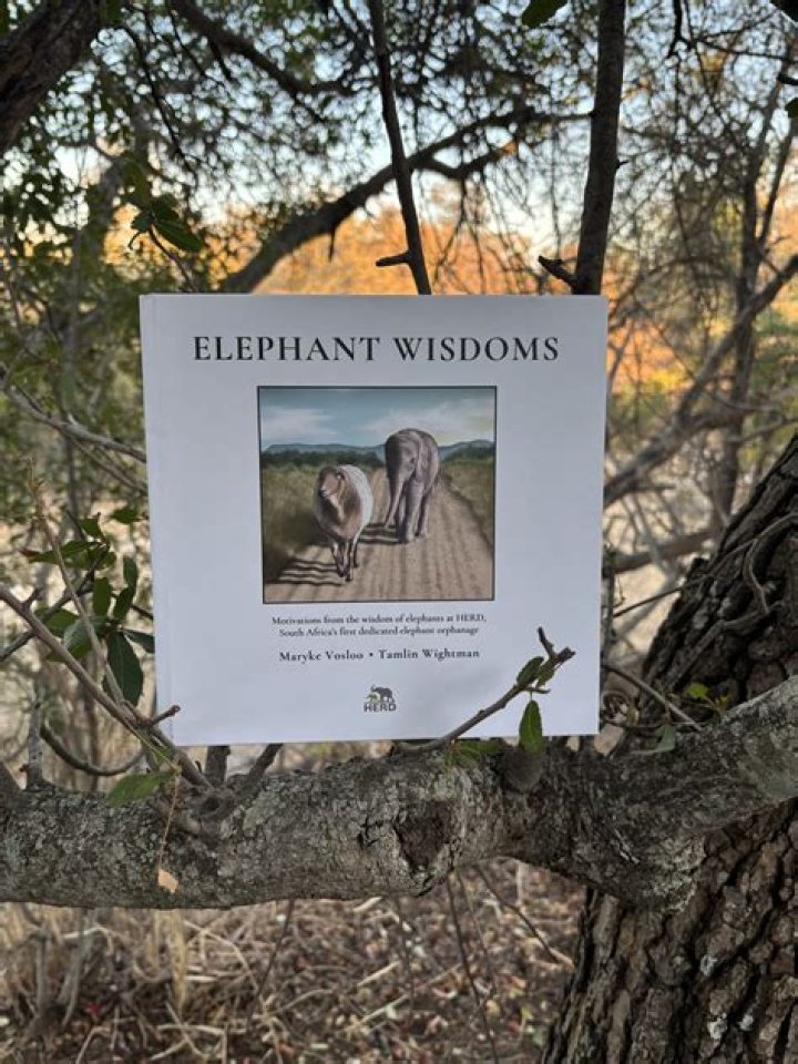 A Journey Into Elephant Wisdom