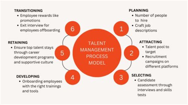 A Journey Into Talent And