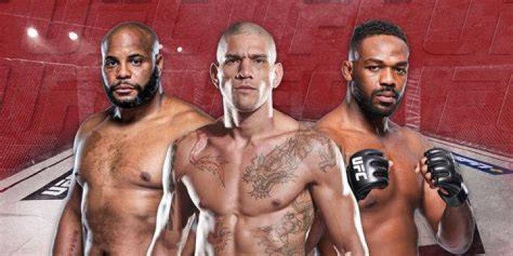 A Journey Into The UFC Heavyweight Division