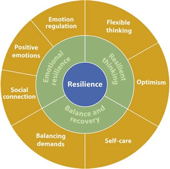 A Journey Of Identity, Resilience, And Connection