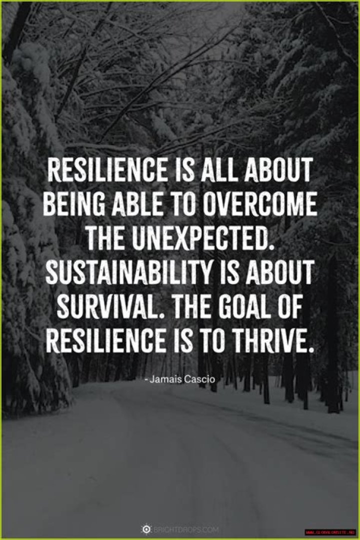 A Journey Of Love And Resilience