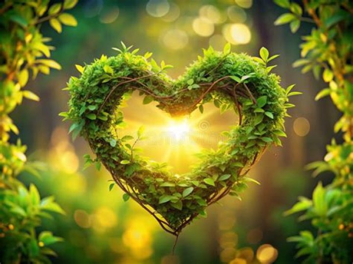 A Journey Of Love, Support, And Creativity