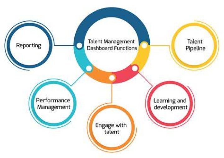 A Journey Of Talent And Recognition