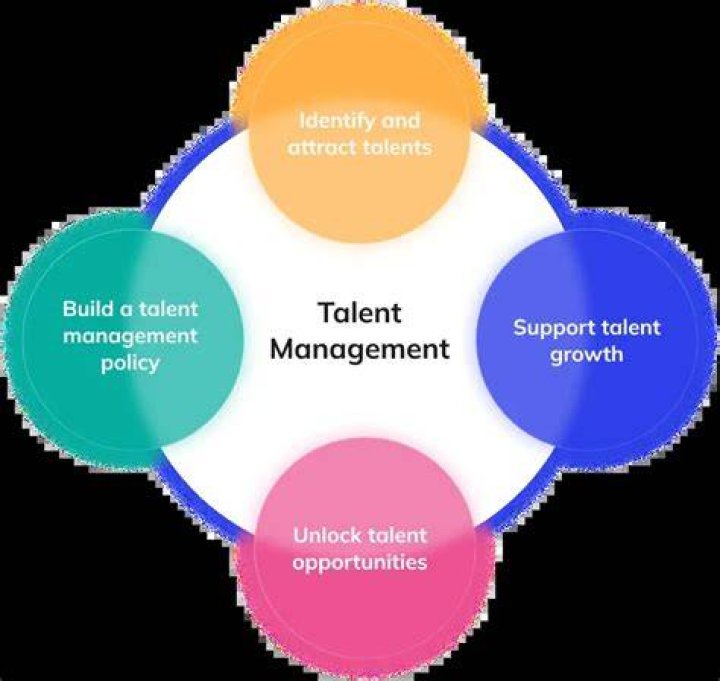 A Journey Of Talent And Transformation