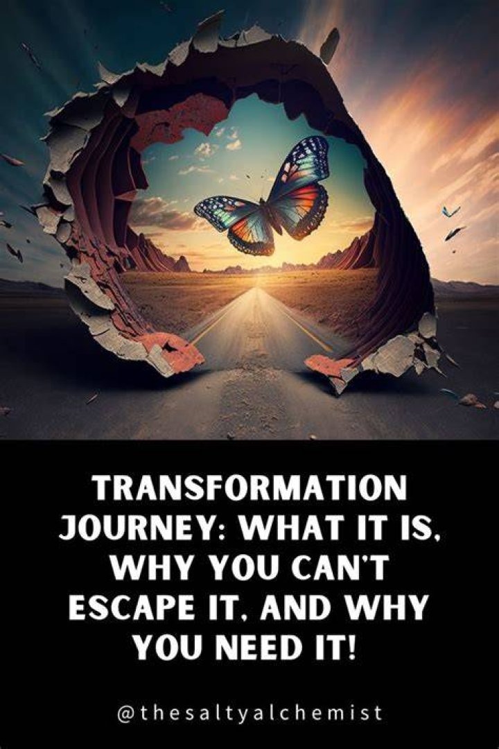 A Journey Of Transformation And Versatility