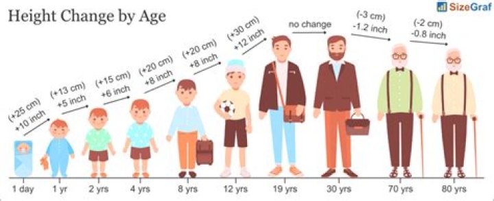 A Journey Through Bio, Age, And Height