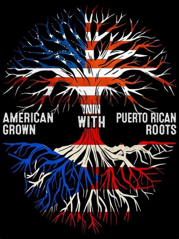 A Journey Through Dominican & Puerto Rican Roots