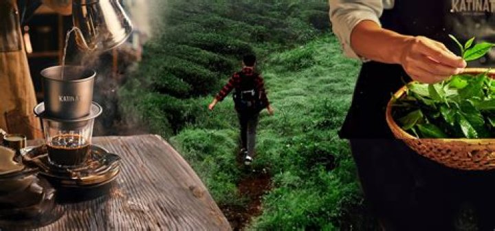 A Journey To Discover His Wealth