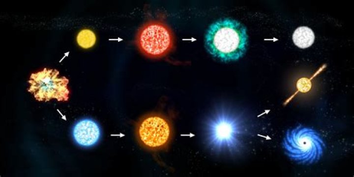 A Multifaceted Star And Life Journey