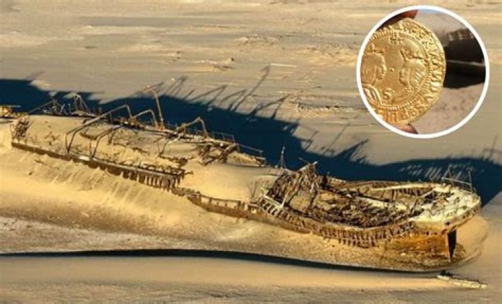 A Treasure Trove Of Discoveries And Insights