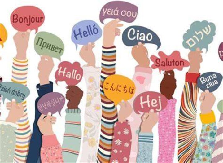 A Treasure Trove Of Laughter And Linguistic Delights