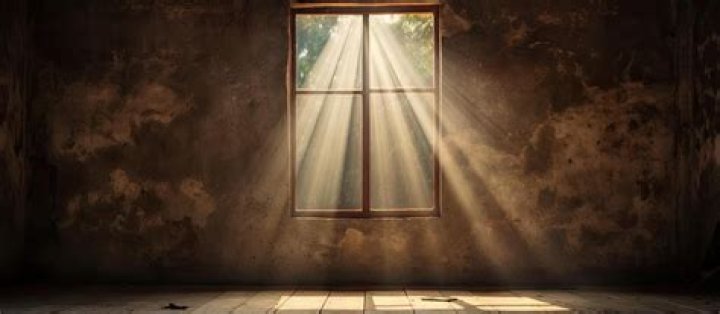 A Window Into A Remarkable Bond