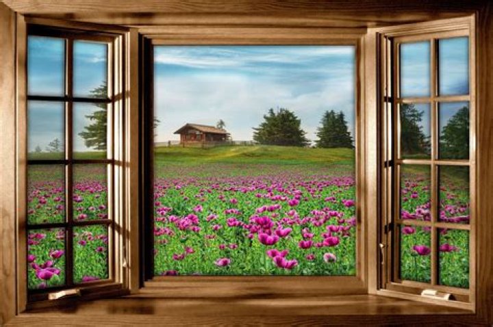 A Window Into Inspiration And Impact