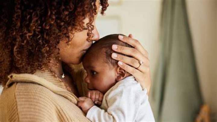 A Window Into Motherhood And Love