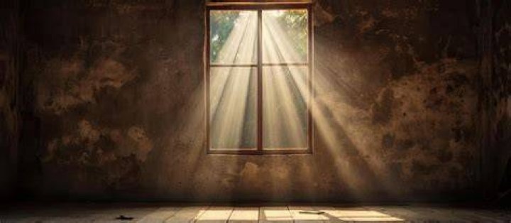 A Window Into Parenthood And Values