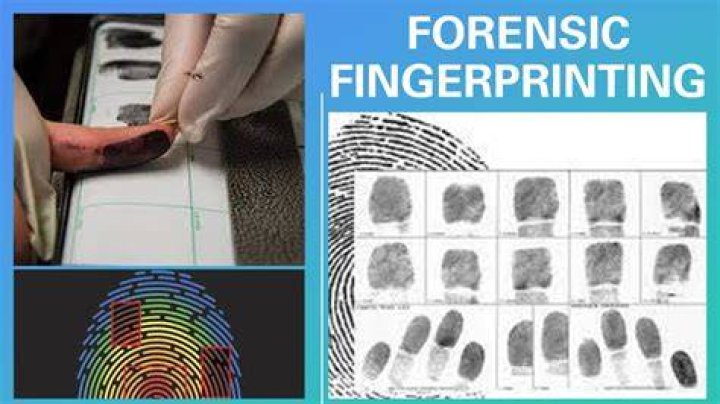 An Age-Old Legacy In Fingerprinting