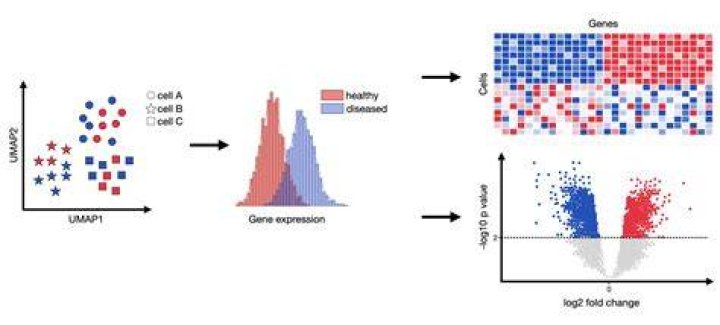 An Exploration Of Genes, Health, And Performance