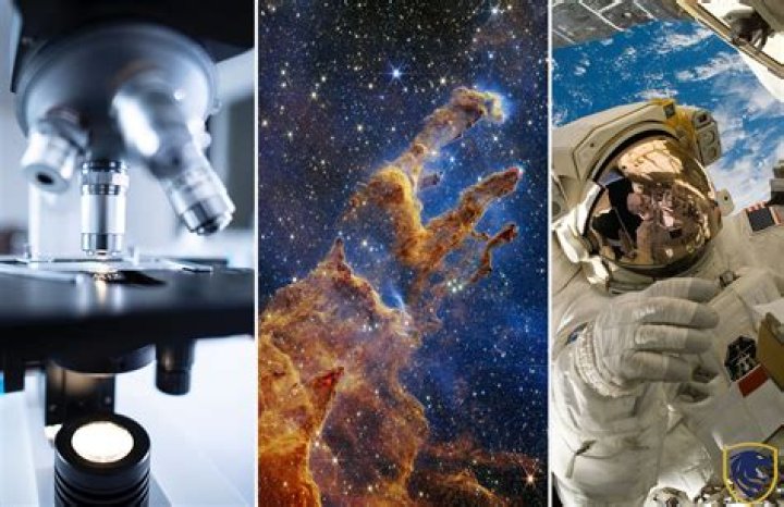 An In-Depth Review With Surprising Discoveries