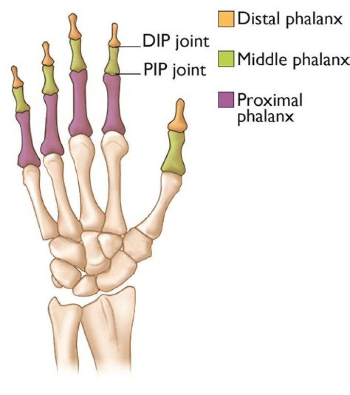Are any of the Pips still living?