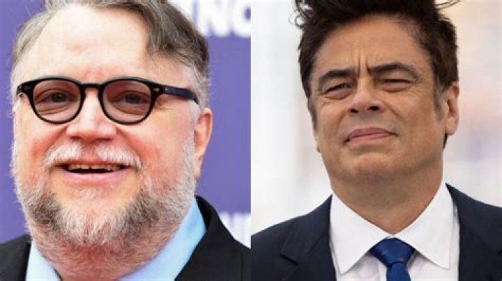 Are Benicio And Guillermo Del Toro Related