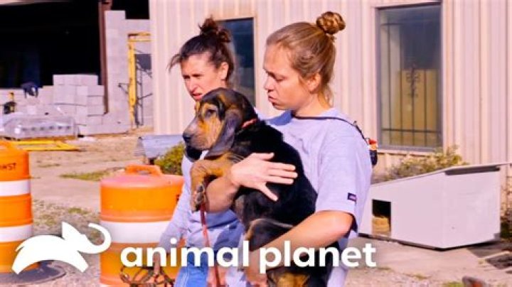 Aren Marcus Jackson- Meet Husband Of Animal Rescue Specialist, Tia Torres
