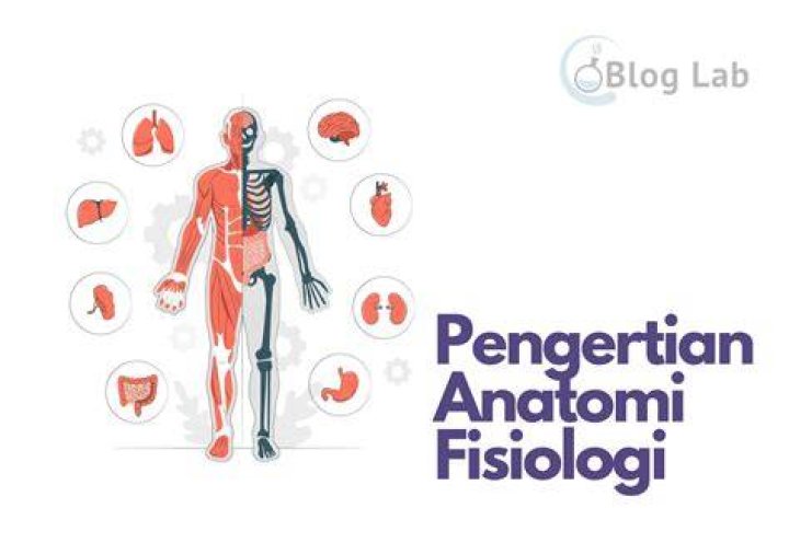 BlogLab | Tracy Jernagin