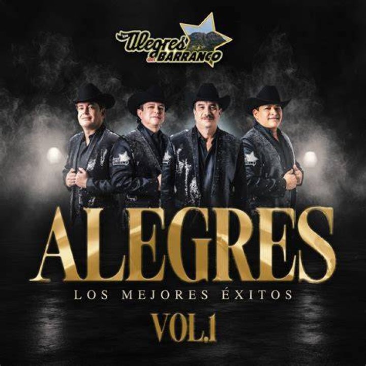 Book Los Alegres Del Barranco And Experience Salsa Magic: A Price Guide