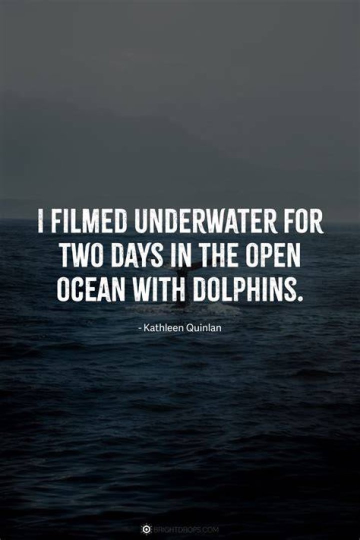 Captivating Words of the Ocean |