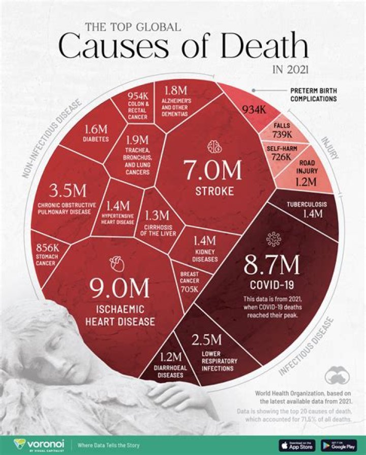 Cause Of Death And Impact On Tech