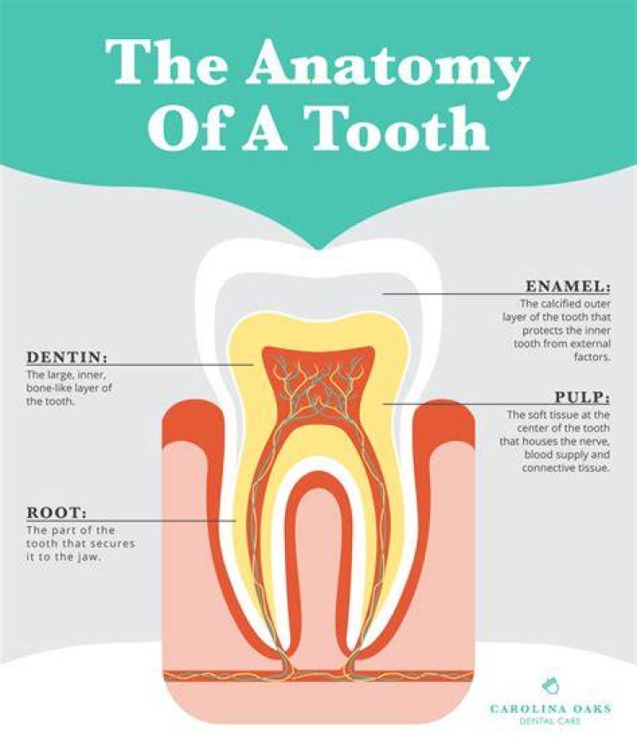 Christean's Lost Tooth And The Shocking Revelation