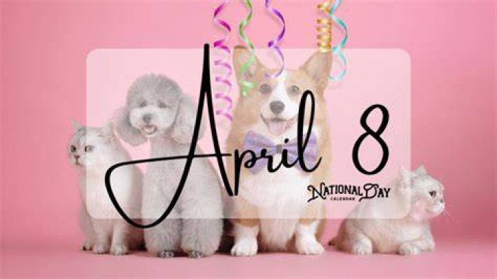 DashBlog | April 8 Birthdays