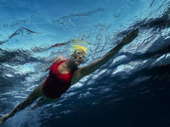 Diana Nyad's Springtime Swim: Discoveries And Insights