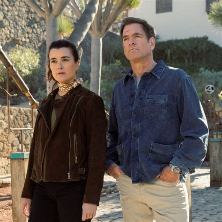Diego Serrano And Cote De Pablo's Marital Status: The Truth Revealed
