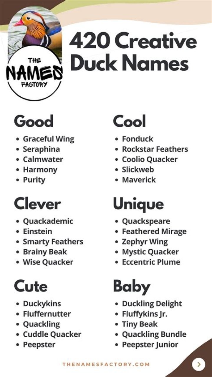 Discover Enchanting Duck Names For Your Feathered Friend