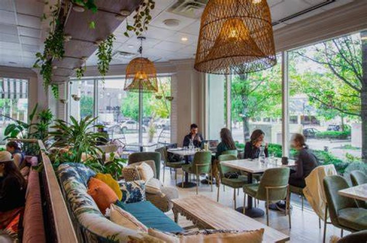 Discover The Best Coffee Shops To Work In Chicago