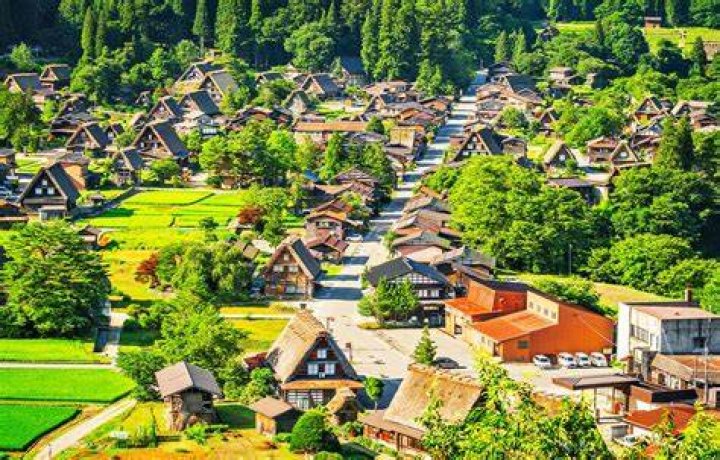 Discover The Cultural Treasures Of Japan