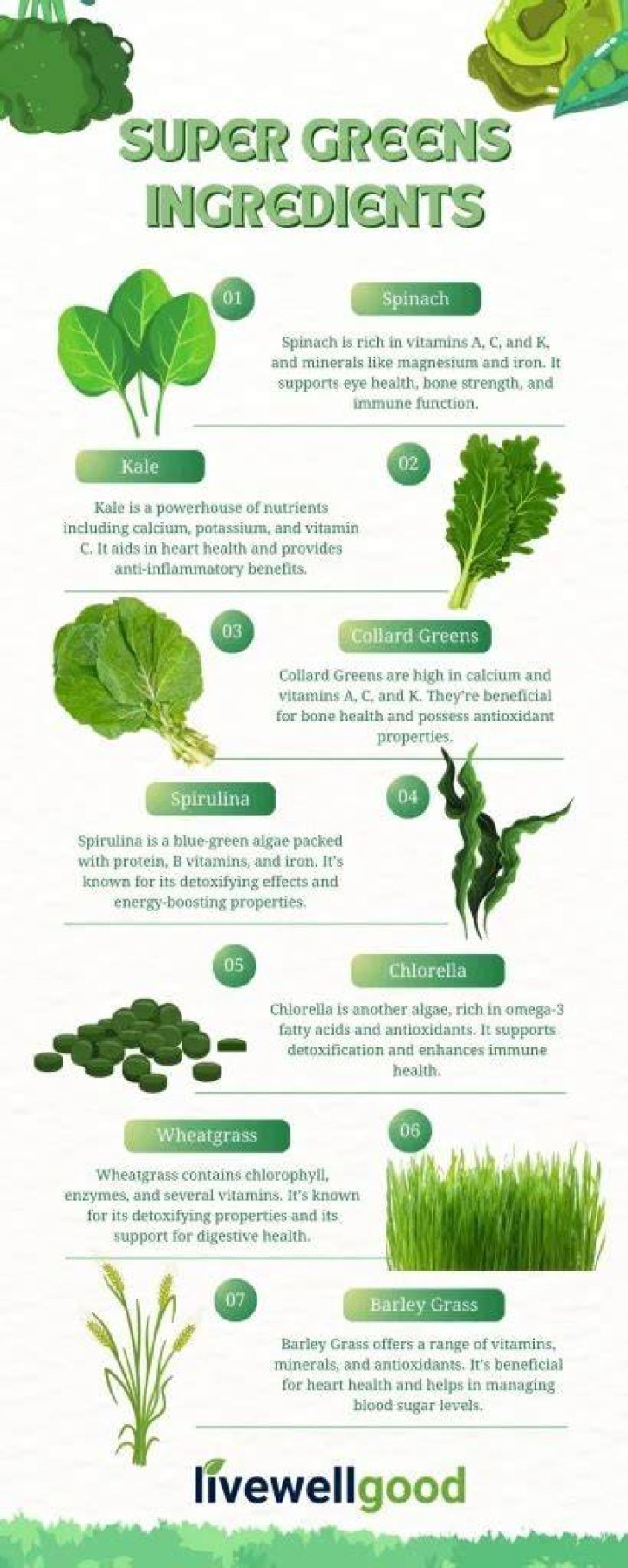 Discover The Enchanting World Of Cava Splendid Greens