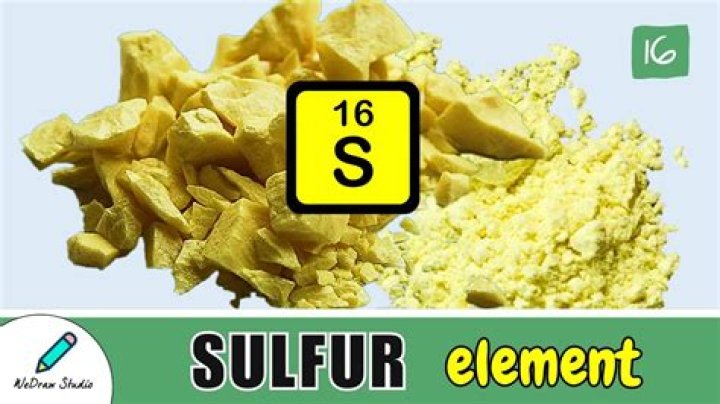 Discover The Meaning Of "It Reeks Of Sulfur"