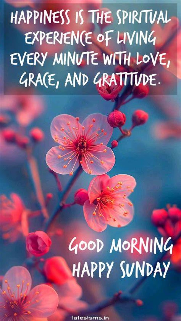 Discover The Power Of "Good Morning Happy Sunday Quotes": Unlock Inspiration And Positivity