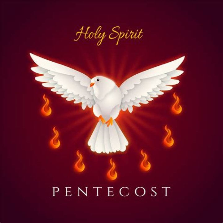 Discover Their Legacy, Spirit, And Impact
