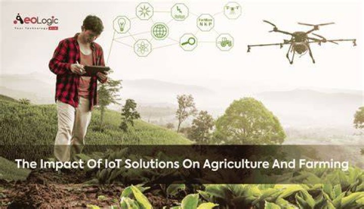 Discoveries And Insights In Agriculture