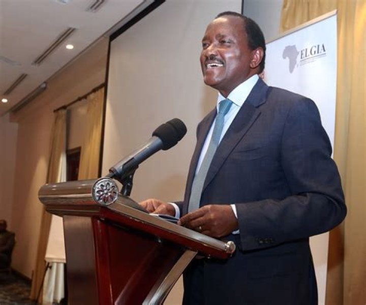Discoveries And Insights Into Kennedy Musyoka Kalonzo
