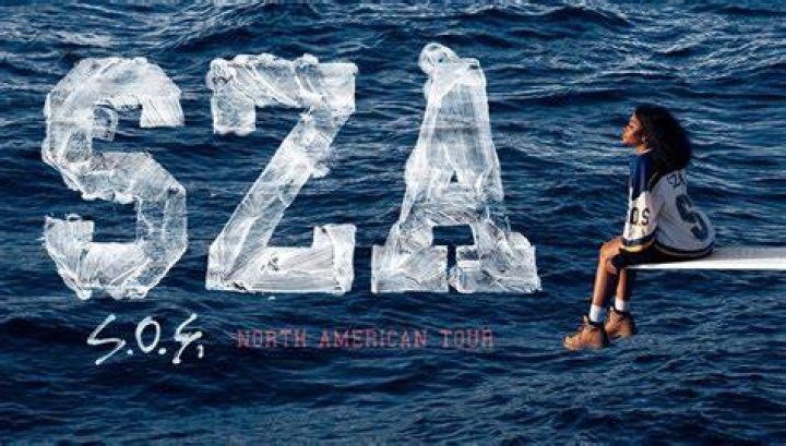 Discoveries And Insights Into "sza Train Video"