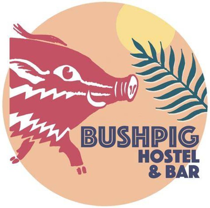 Discoveries At Bushpig Backpackers Hostel