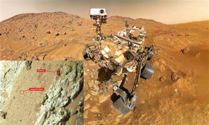 Discoveries Await In The Search For Margot