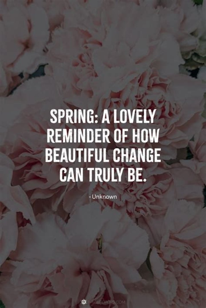 Do Flowers Given With Love Truly Last Longer?
