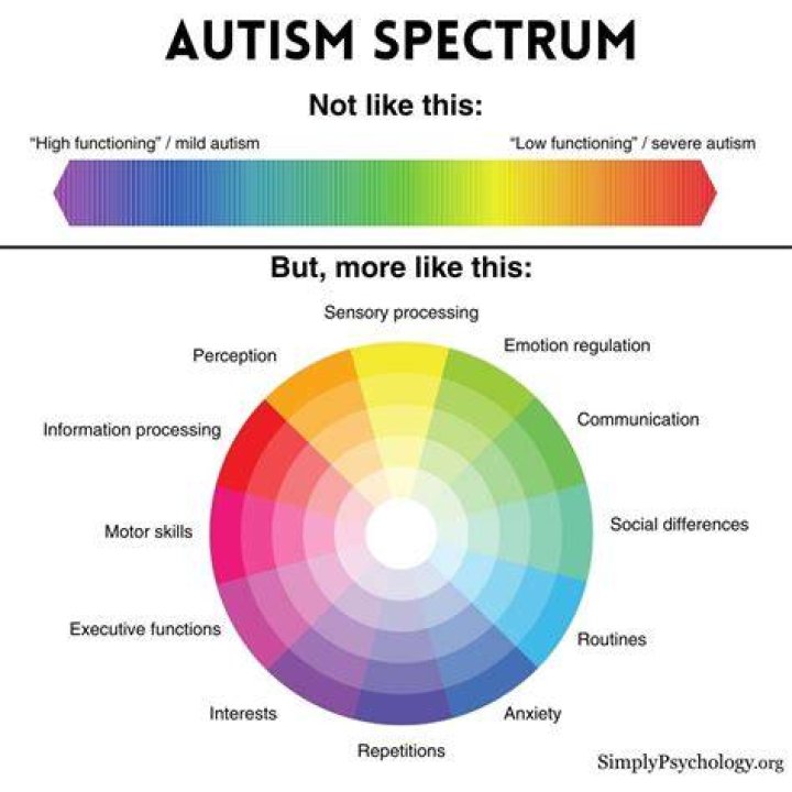 Elizabeth Holmes And The Spectrum Of Autism