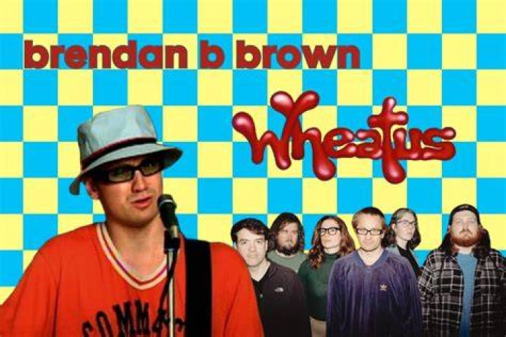 Exploring The Brilliance Of Brendan B. Brown